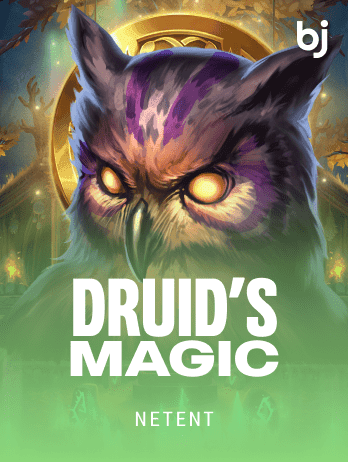 Druid’s Magic screenshot